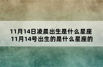 11月14日凌晨出生是什么星座 11月14号出生的是什么星座的